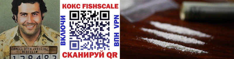 Cocaine FishScale  что такое   блэк спрут вход  Орлов 
