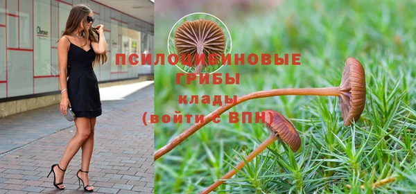 МДПВ Аркадак