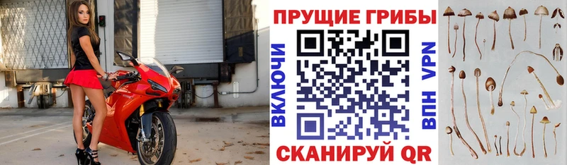 Галлюциногенные грибы GOLDEN TEACHER Орлов